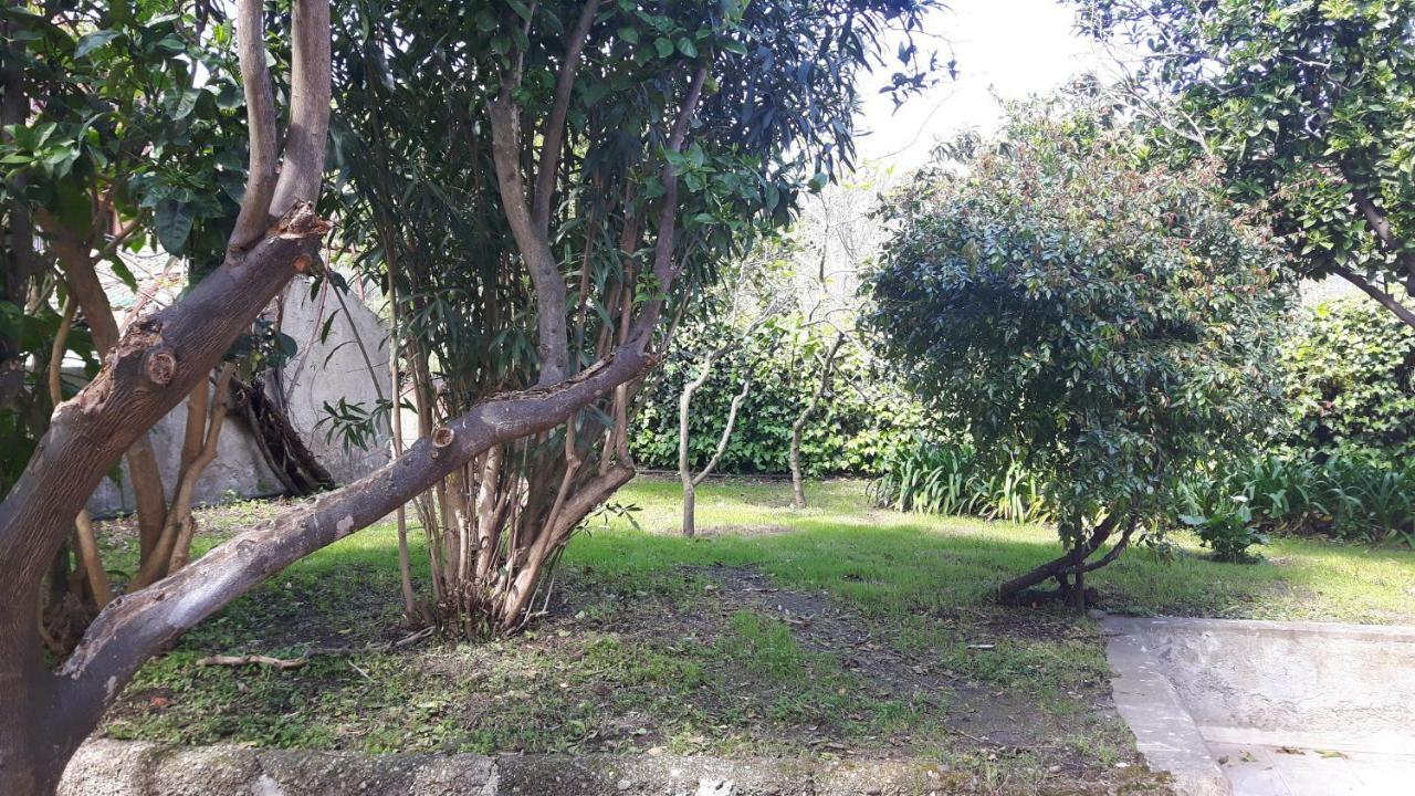Apartamento Giardino Labruto Mesina Exterior foto