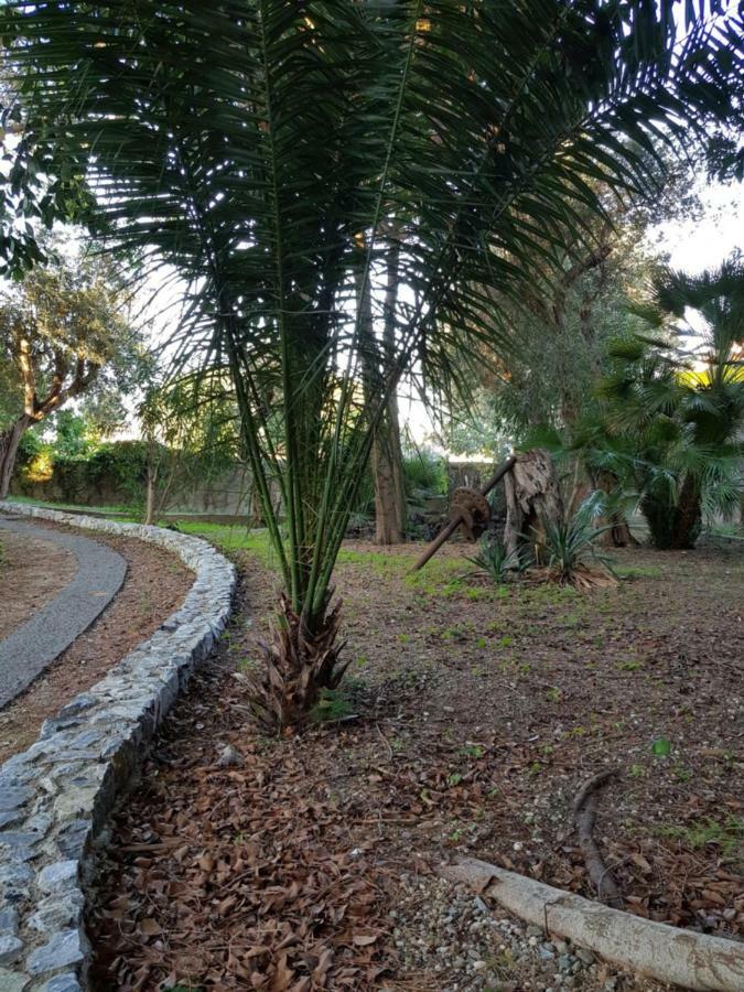 Apartamento Giardino Labruto Mesina Exterior foto